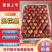 云南东川精品无花果，波姬红无花果，产地直供，量大价低。