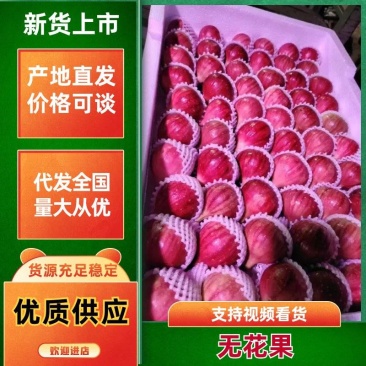 云南昆明东川直销波姬红无花果，对接市场电商各大平台。