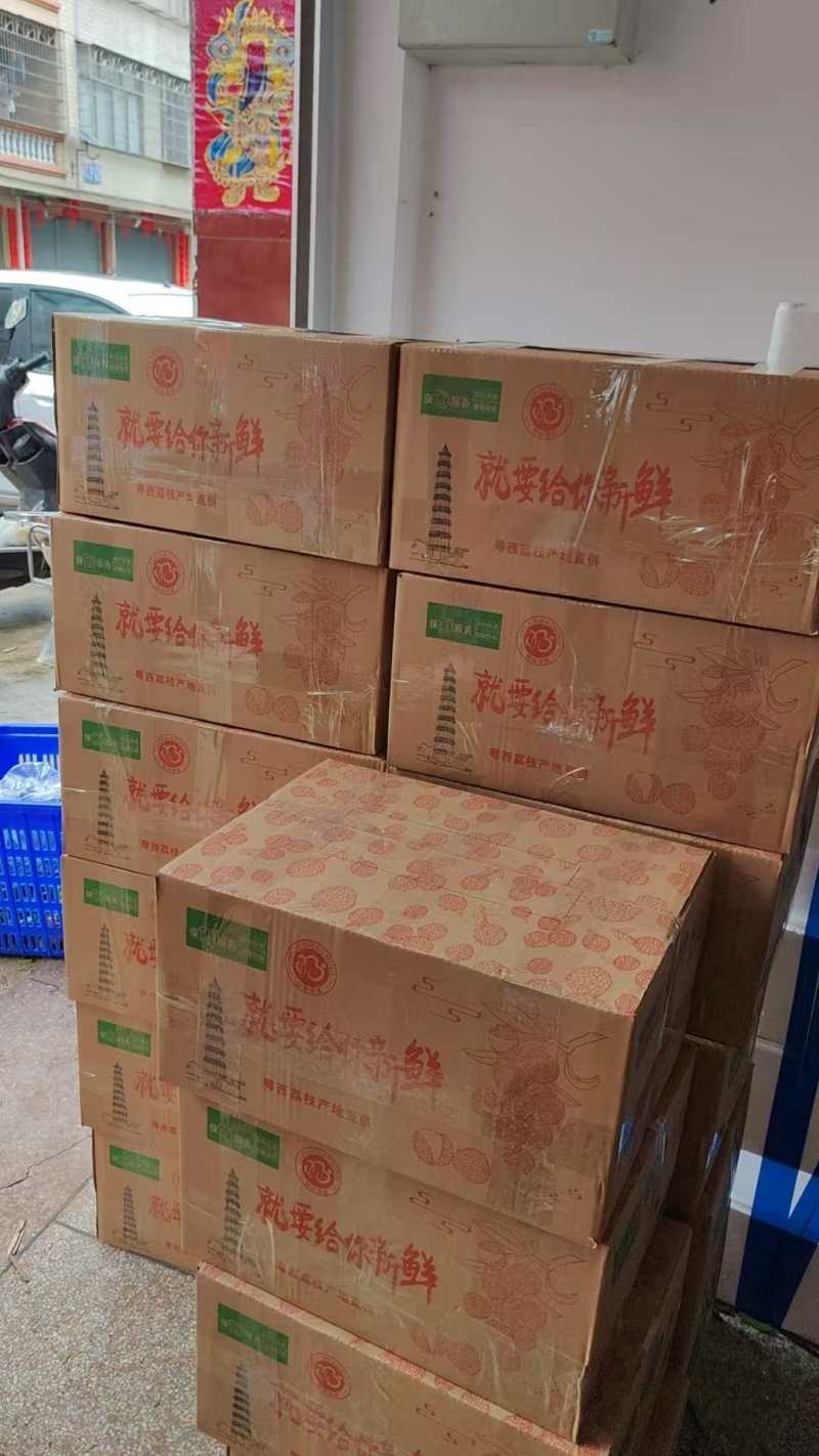 高州桂味大量现货