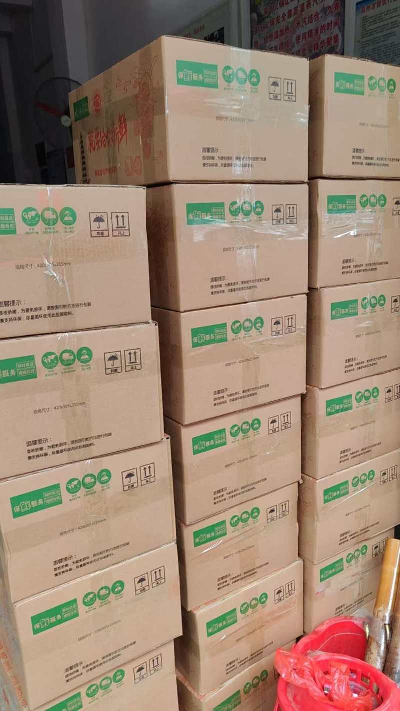 高州桂味大量现货