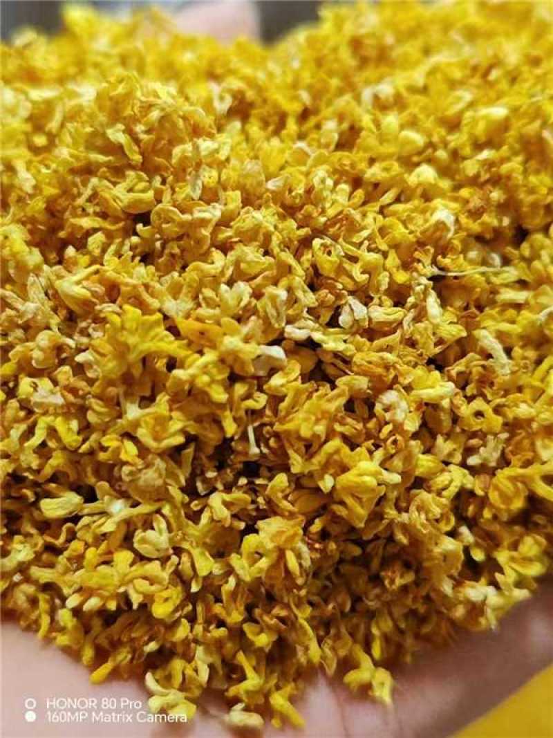 广西精品新鲜干桂花桂花干农副干货大量现货