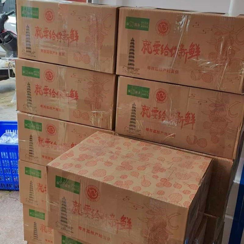 高州桂味大量现货