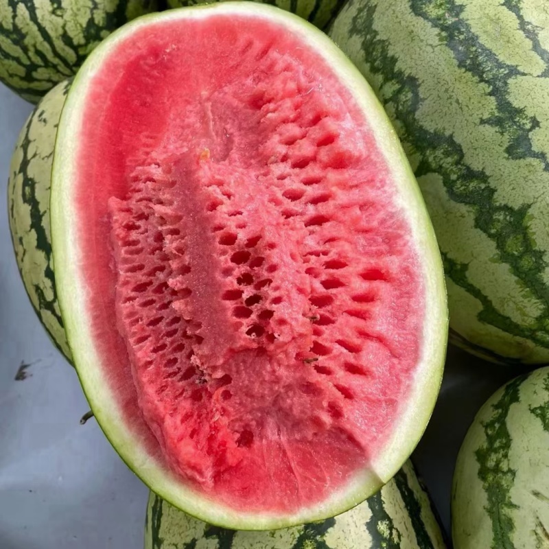 硒砂六号石头瓜
