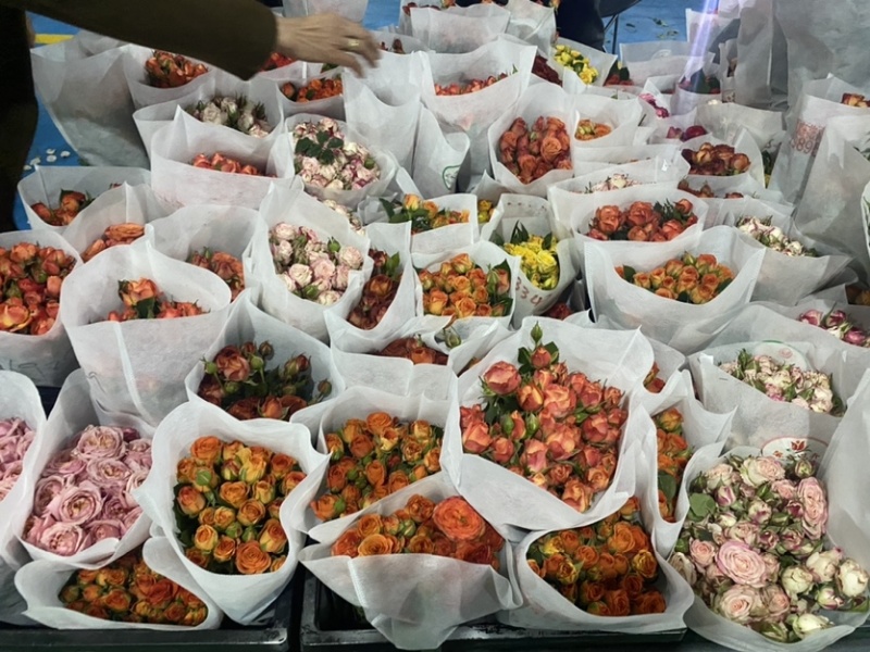 多头玫瑰花，云南鲜花基地直销，颜色齐全，包质包量。