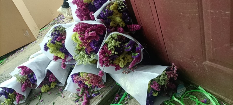 勿忘我鲜花，长期供货，云南基地直销，保质保量