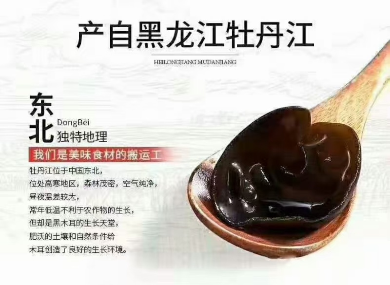 2025新耳大量上市，黒厚无根肉厚口感好，圆边菜