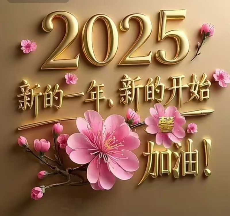 2025新耳大量上市，黒厚无根肉厚口感好，圆边菜