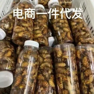 金蝉，支持一件代发，社区团购