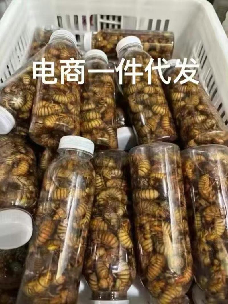 金蝉，支持一件代发，社区团购