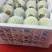 云南蜜梨，蜂糖梨，丁香梨