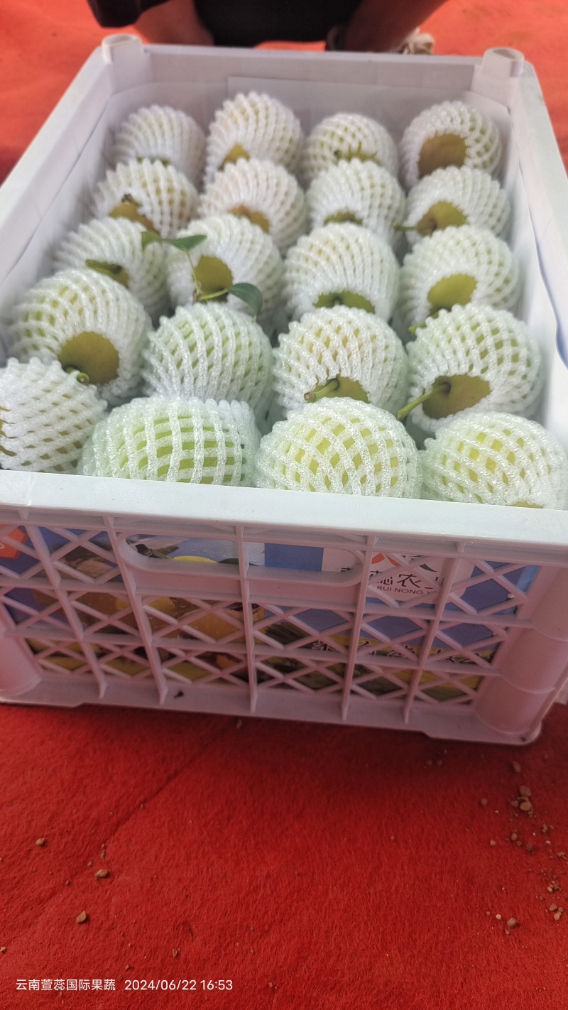 云南蜜梨，蜂糖梨，丁香梨