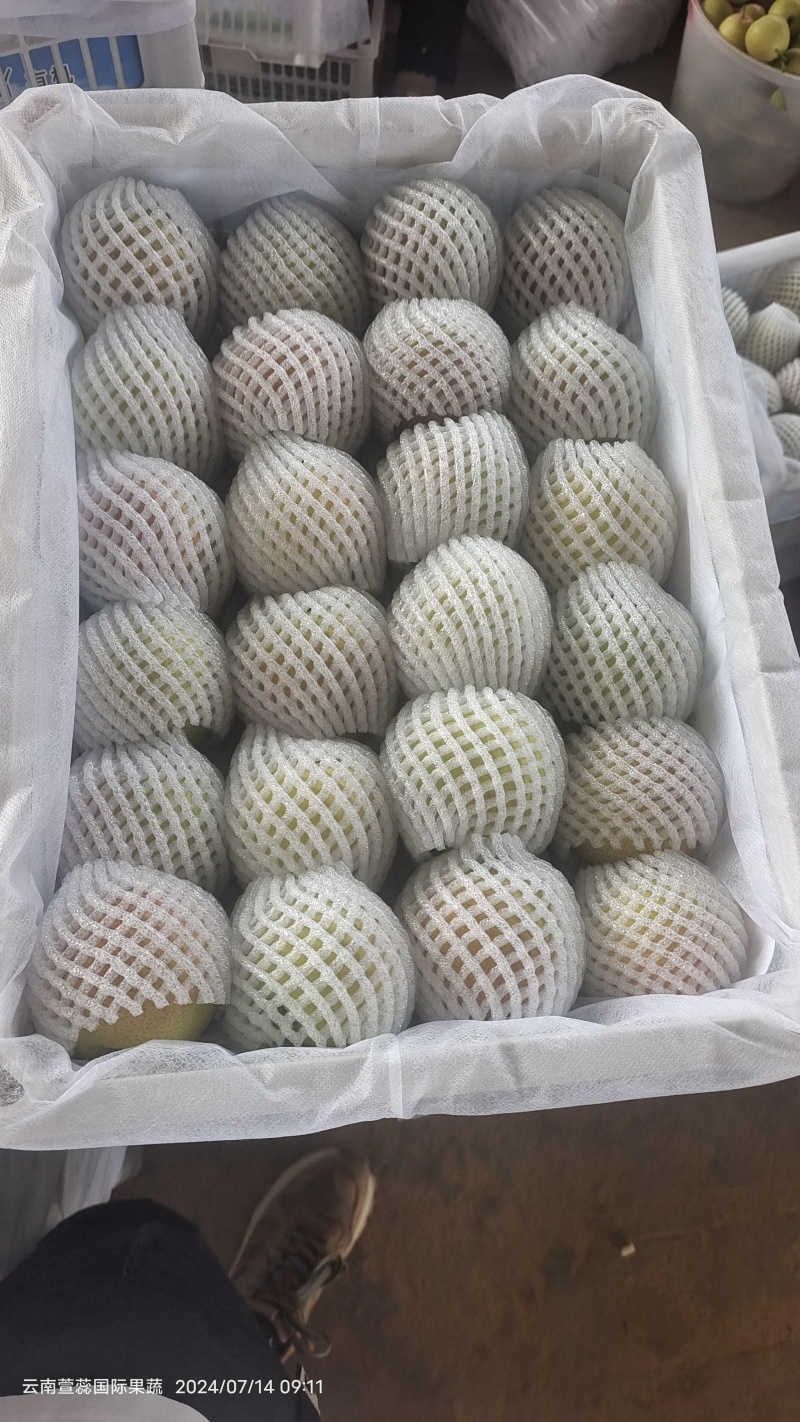 云南蜜梨，蜂糖梨，丁香梨