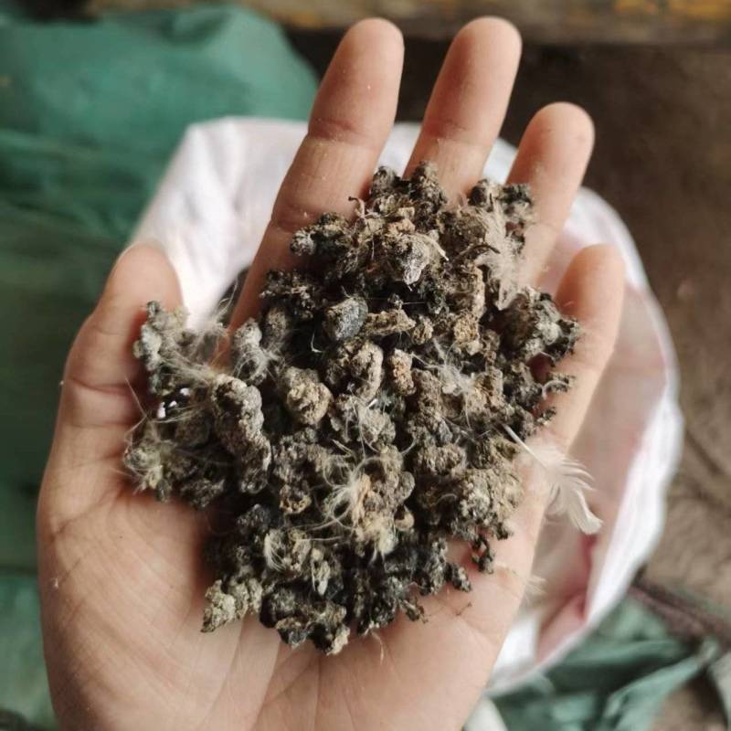 《常年出售》风干颗粒小鸡粪自然风干无杂质量大从优