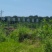 大红袍荔枝基地直销可定金包园量大优惠一件代发包邮