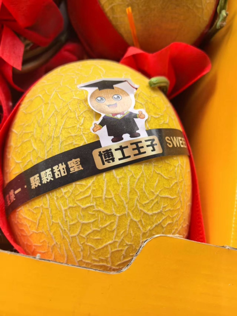 山东哈密瓜一手货源视频看货全国发货，