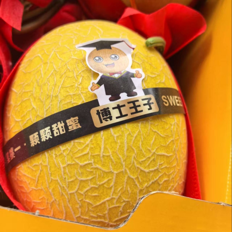 山东哈密瓜一手货源视频看货全国发货，