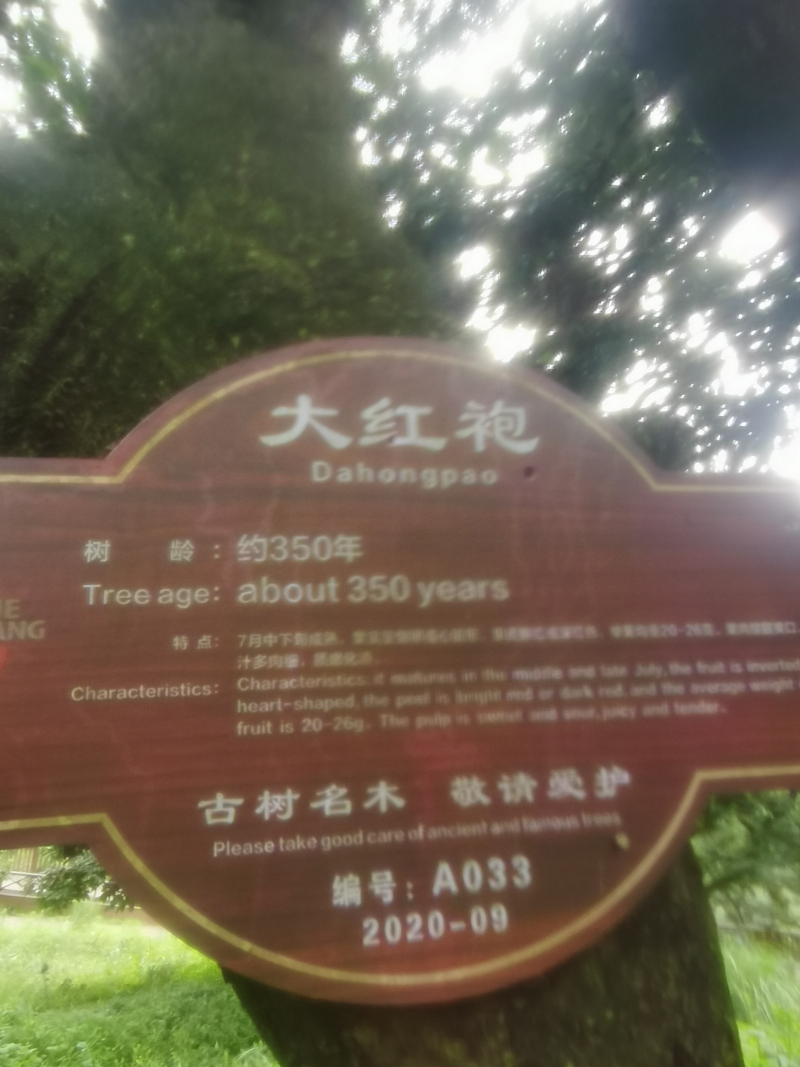 一件代发精品大红袍荔枝各品种荔枝新鲜直达承接各大电商平台