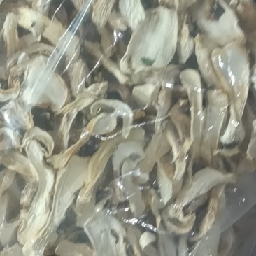 赤松茸干货