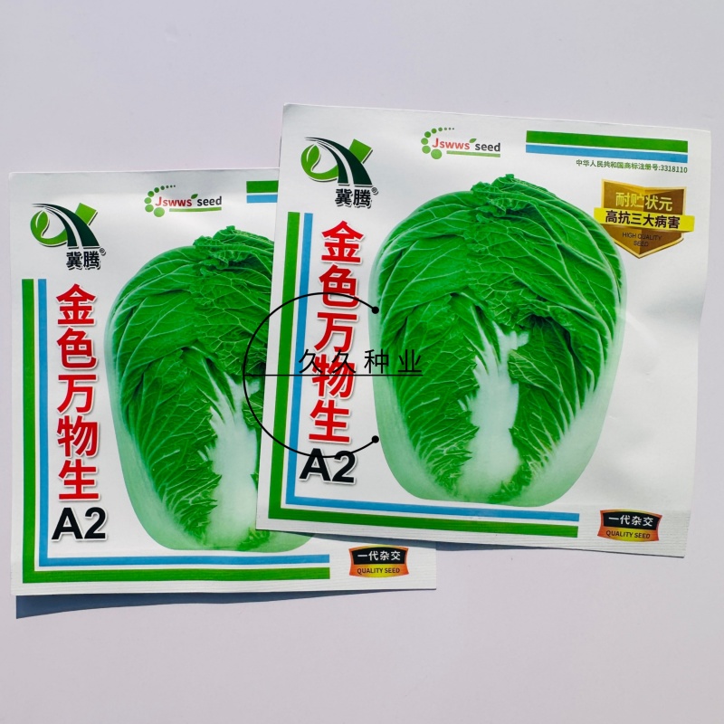 金色万物生大白菜种子秋播80天白菜黄心绿叶耐寒结球紧
