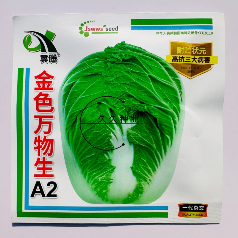 金色万物生大白菜种子秋播80天白菜黄心绿叶耐寒结球紧