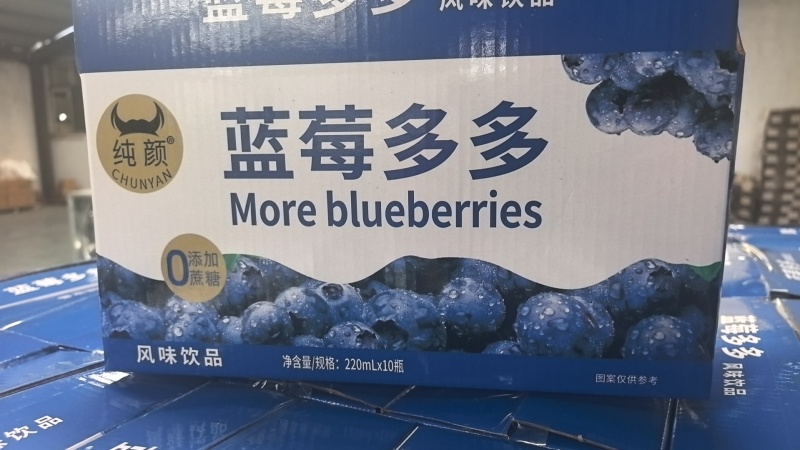 蓝莓多多蓝莓汁饮料一件代发