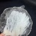 《包邮》半干挑三角疏盏燕窝工厂直售品质保证全国包邮