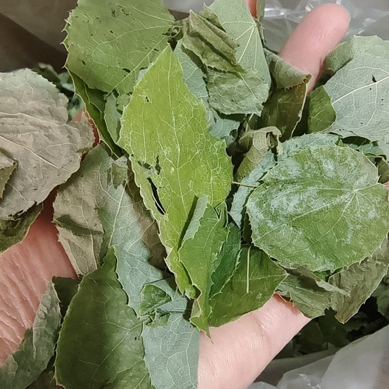淫羊藿甘肃圆叶选货颜色好量大优惠