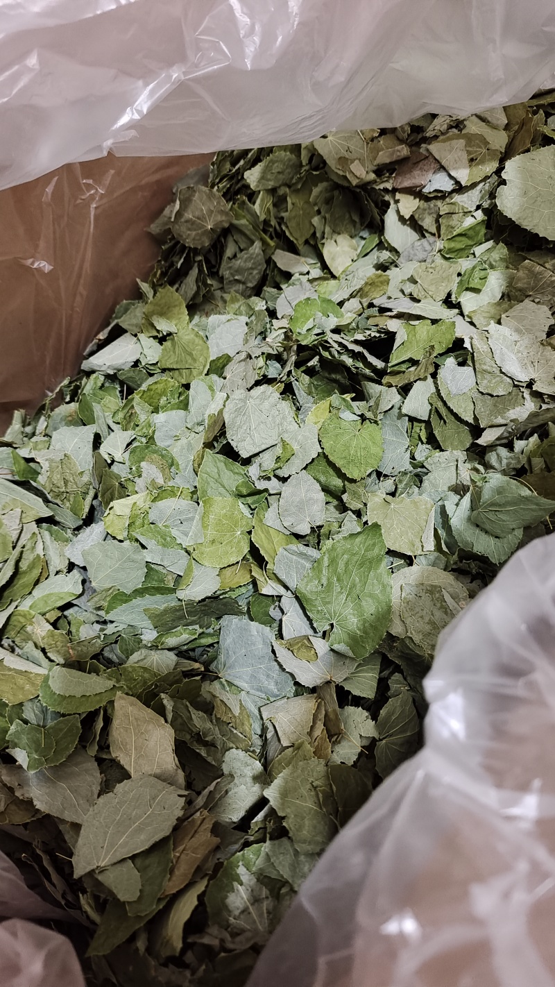 淫羊藿甘肃圆叶选货颜色好量大优惠