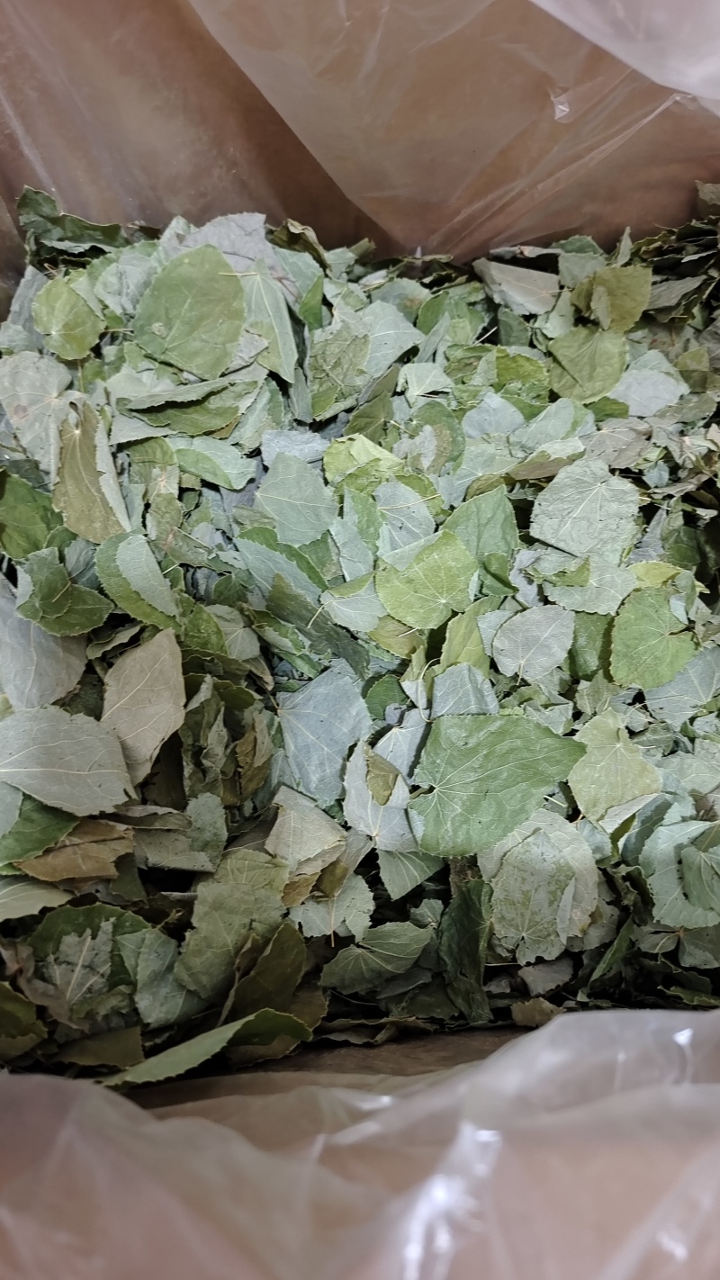 淫羊藿甘肃圆叶选货颜色好量大优惠