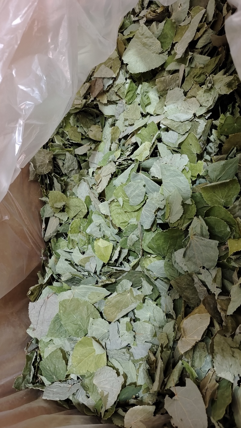 淫羊藿甘肃圆叶选货颜色好量大优惠