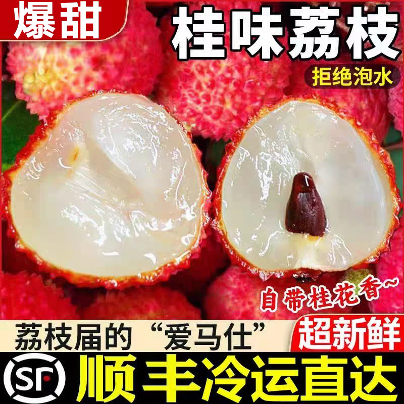 桂味白糖罂妃子笑实力供应链日发五万单