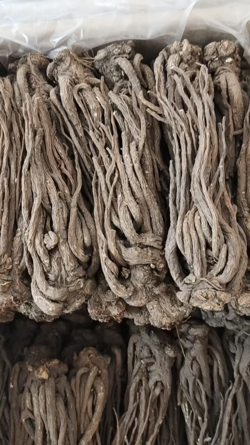 当归个子选货大条无硫量大优惠