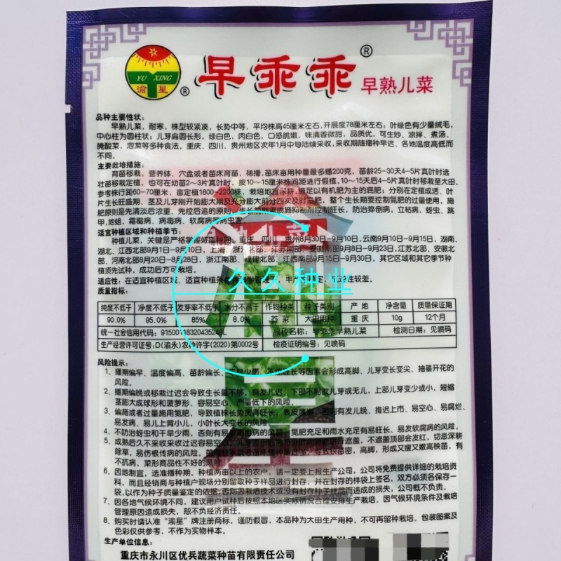 早乖乖早熟儿菜种子清香脆嫩早熟高产抗病商品性佳