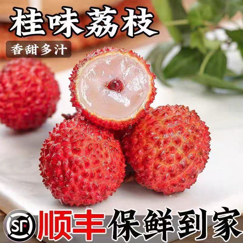 桂味白糖罂妃子笑实力供应链日发五万单