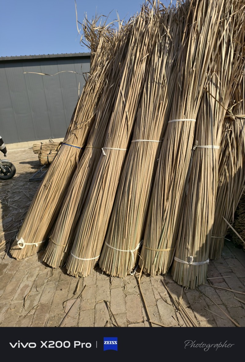 干蒲草可编草绳基地大量供应直供绿美园林绿化