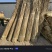 干蒲草可编草绳基地大量供应直供绿美园林绿化