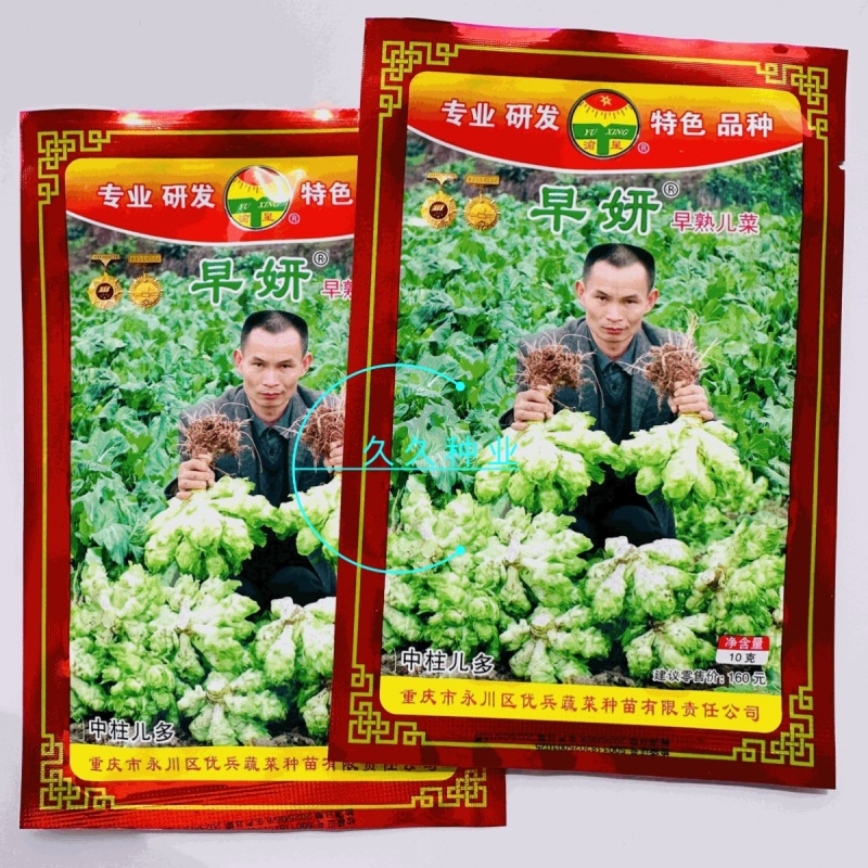 早妍早熟儿菜种子高产抗病耐抽薹脆嫩纤维少口感好菜园种蔬菜