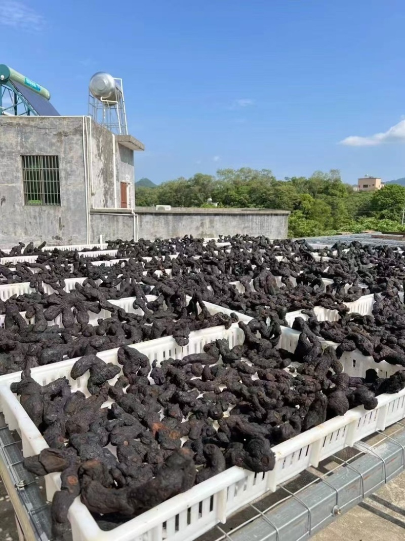 高品质九蒸九晒黄精产地直发品质保证全国包邮