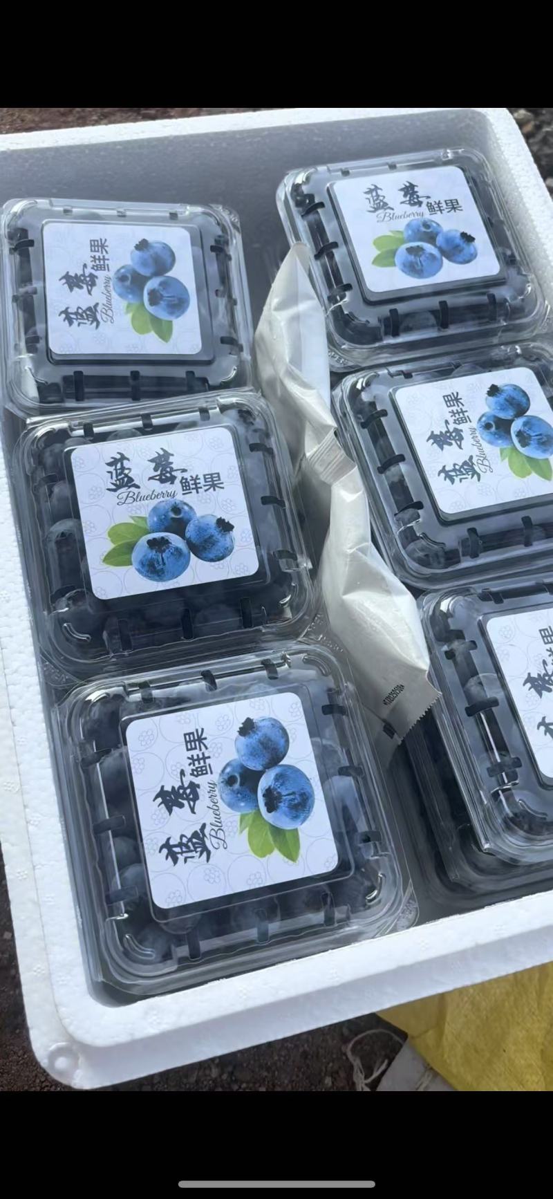 蓝莓绿宝石自家的蓝莓地，可顺丰发货