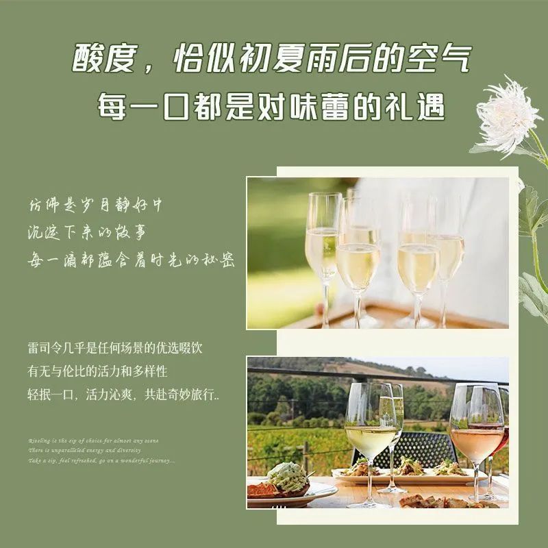 法国进口雷司令白葡萄酒半甜型11度750ml荔枝西柚果香冰饮