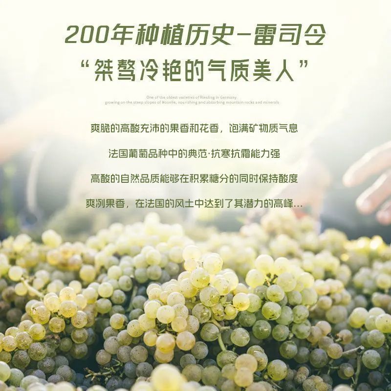 法国进口雷司令白葡萄酒半甜型11度750ml荔枝西柚果香冰饮