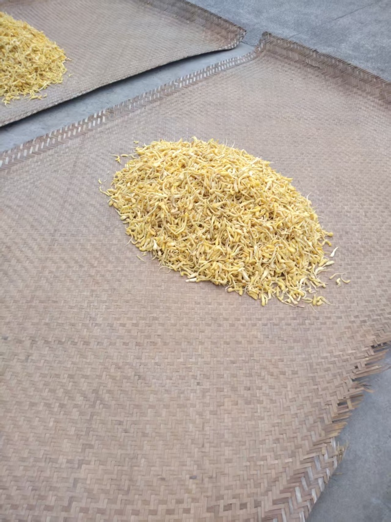 峨参品质保证基地直发价格美丽