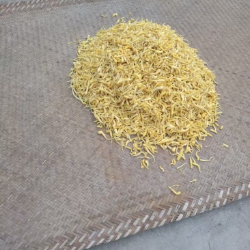 峨参品质保证基地直发价格美丽