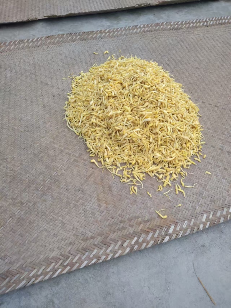 峨参品质保证基地直发价格美丽