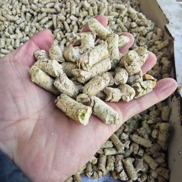 南瓜皮颗粒