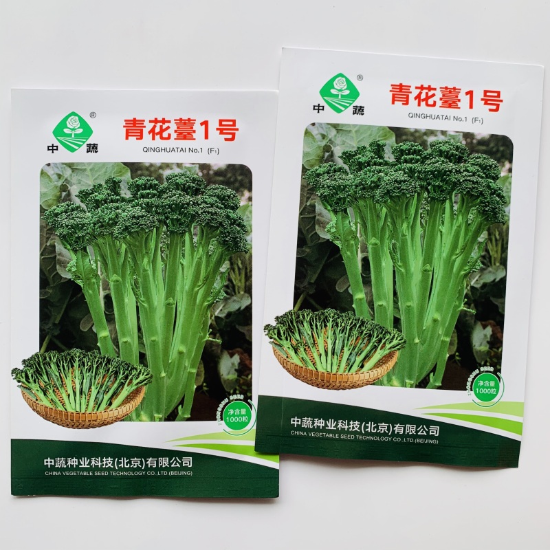 青花薹1号种籽杂交西兰薹种子侧薹多甜杆西兰苔种籽西洋芥兰