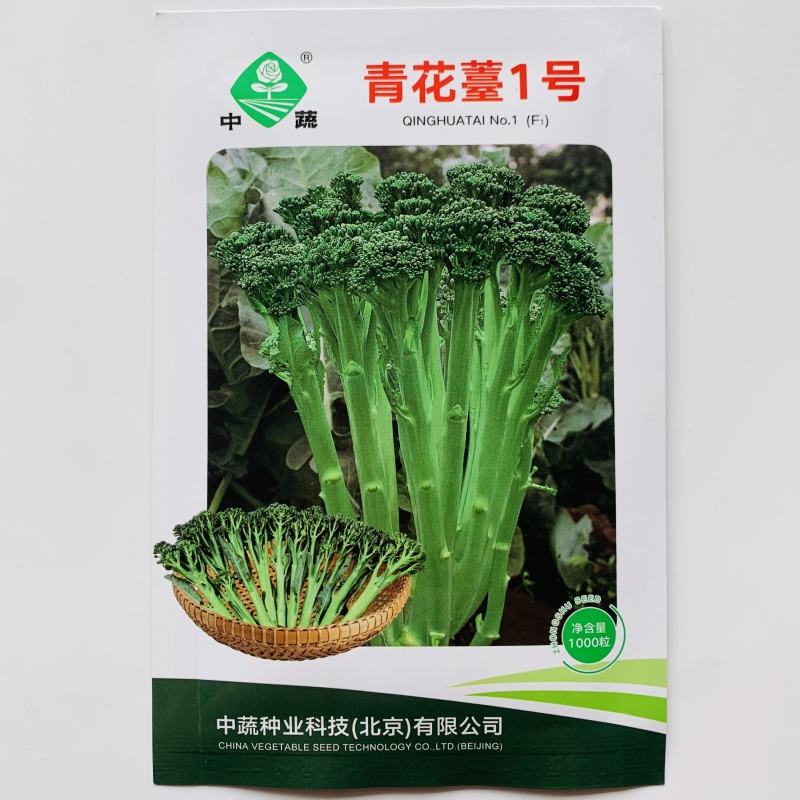 青花薹1号种籽杂交西兰薹种子侧薹多甜杆西兰苔种籽西洋芥兰