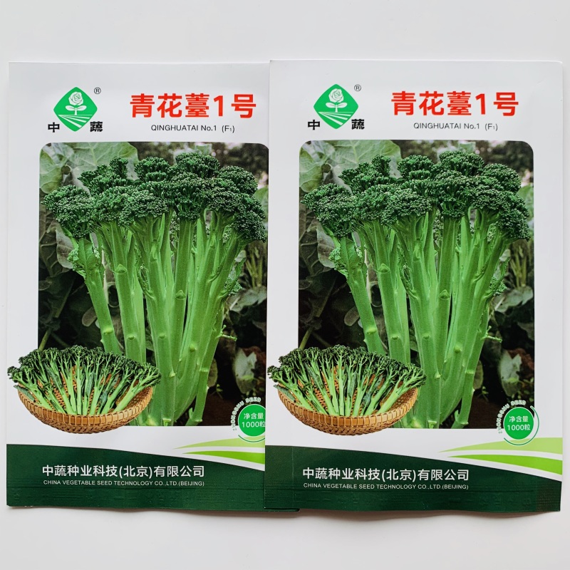 青花薹1号种籽杂交西兰薹种子侧薹多甜杆西兰苔种籽西洋芥兰