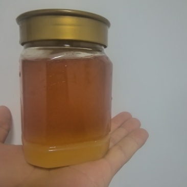 贵州土蜂蜜