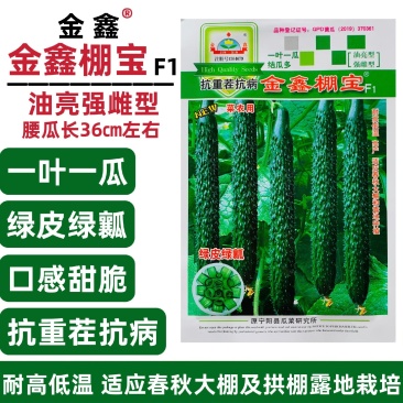 金鑫棚宝耐热油亮黄瓜种子绿肉绿心强雌刺黄瓜种籽抗重茬青瓜